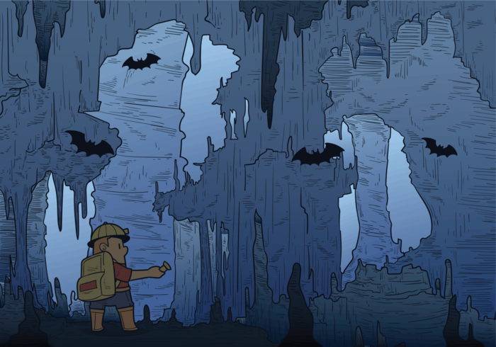 Cavern Vector Illustration