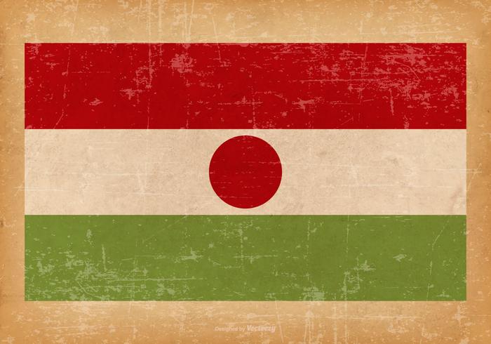 Bandera del grunge de Niger vector