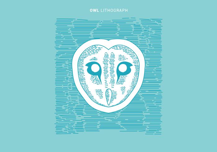 Lithograph Of Owl Vector Illustration