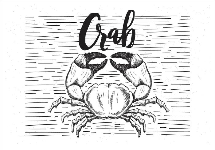 Free Vector Hand Drawn Crab Illustration