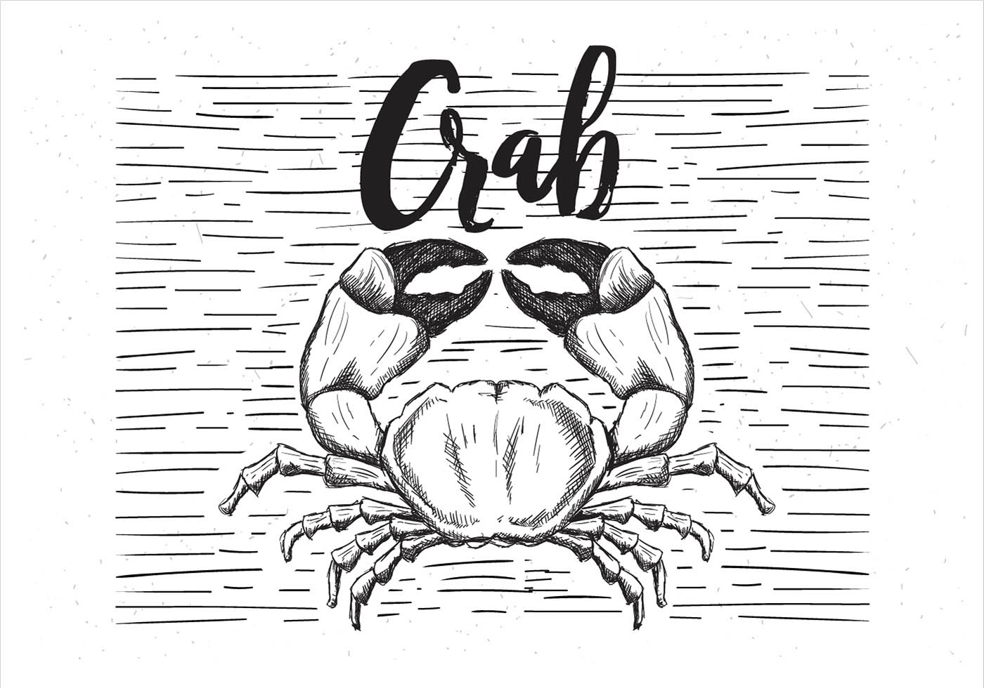 Free Vector Hand Drawn Crab Illustration 152739 Vector Art at Vecteezy