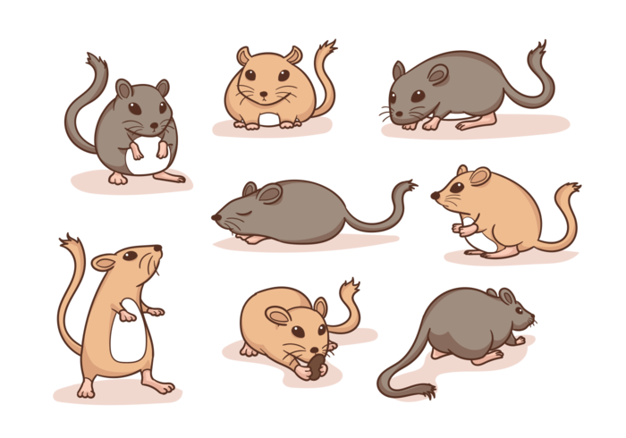 Gerbil Dibujos Animados vector