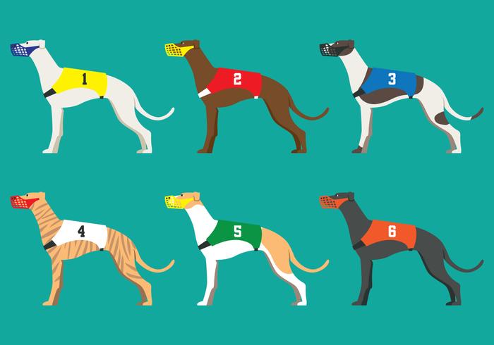 Whippet Race Dog vector