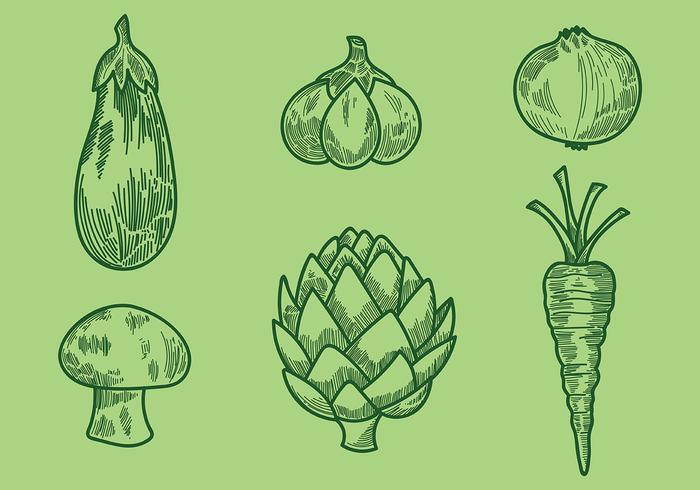 Gravure de estilo antiguo vegetales iconos vectoriales vector