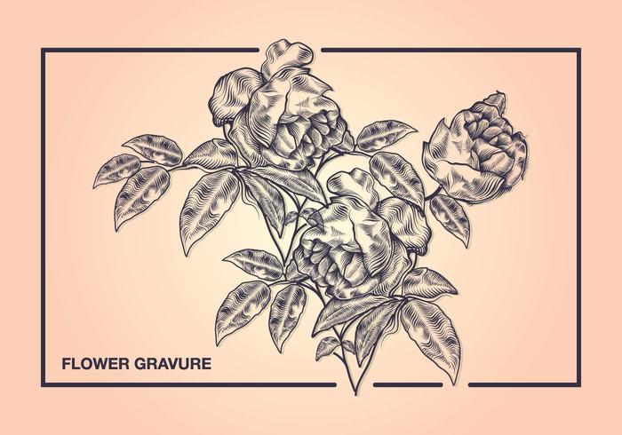 Flower Gravure Style vector