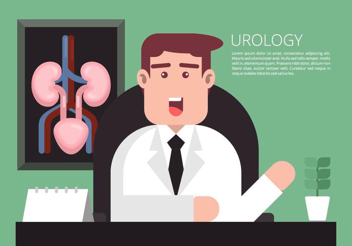 Urology Illustration vector