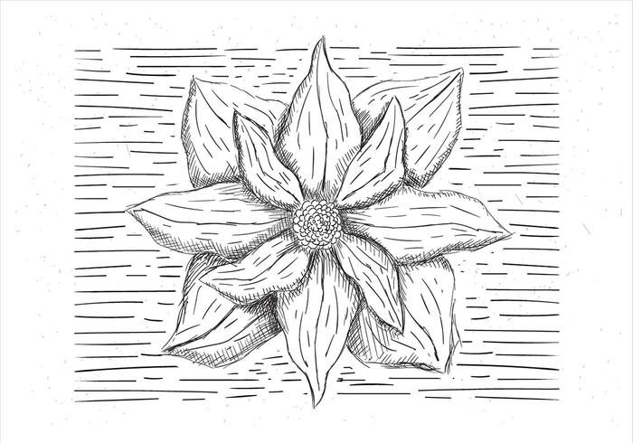 Free Hand Drawn Vector Flower Illustration