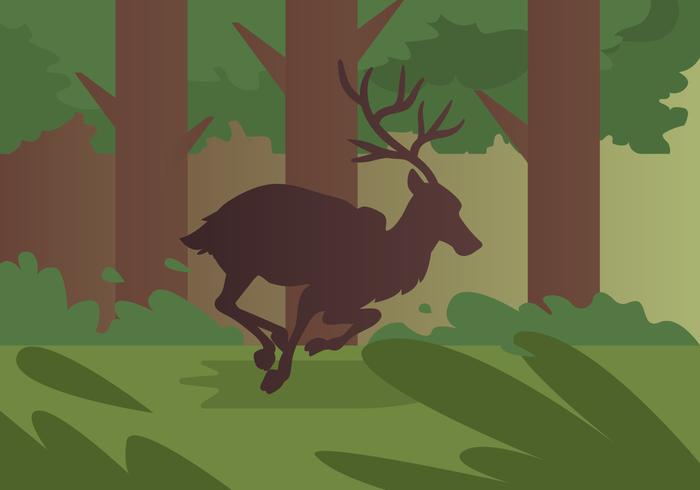 Caribou Run Caribou Run