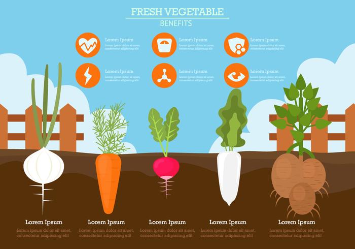 Beneficios de las verduras frescas vector