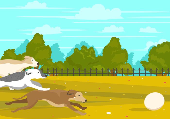 Whippet, perro, juego, Pelota, parque vector