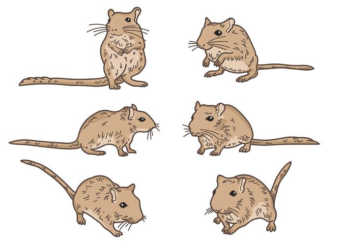 Gerbil Vector Icons