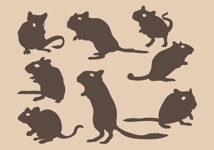 Gerbil Vector Iconos