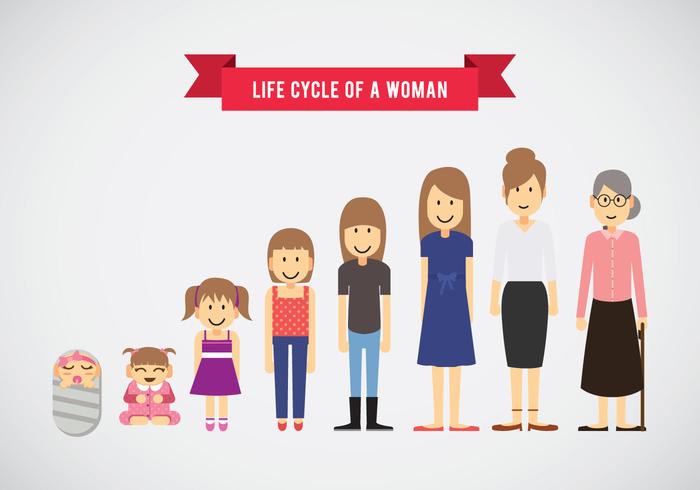 Life Cycle of Woman Vector