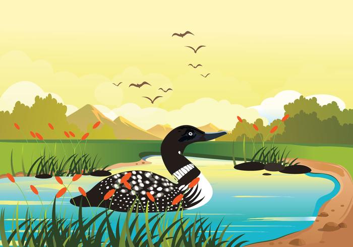 Loon Swimming In Lake Vector Background Illustration