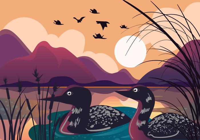 Loon Bird en el lago Sunset vector