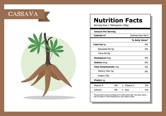 Nutrition Facts Cassava Vector