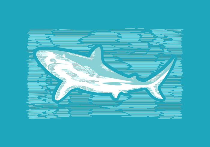 Shark Lithograph Vector Illustration