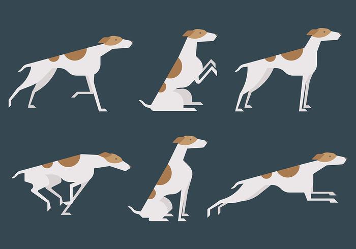 Whippet Vector Iconos