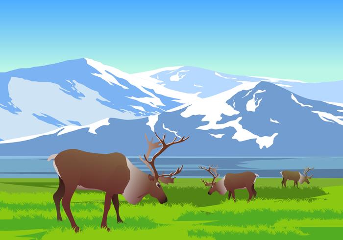 Paisaje De Montaña Con Caribú vector