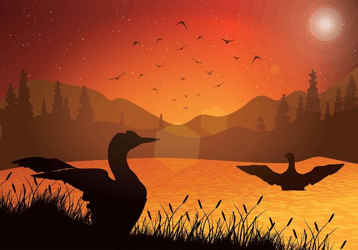 Loon Sunset Free Vector