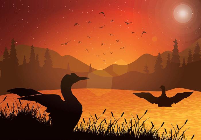 Loon Sunset Free Vector