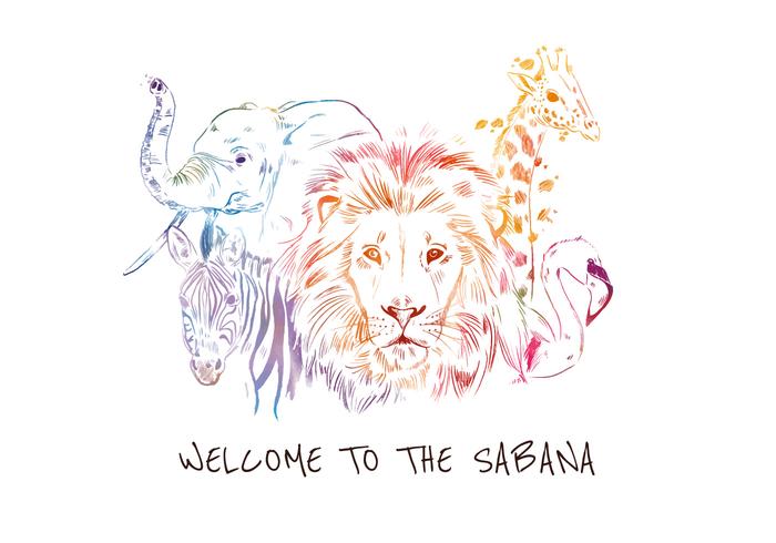 Colorful Safari Animal Vector Colorful Safari Animal Vector