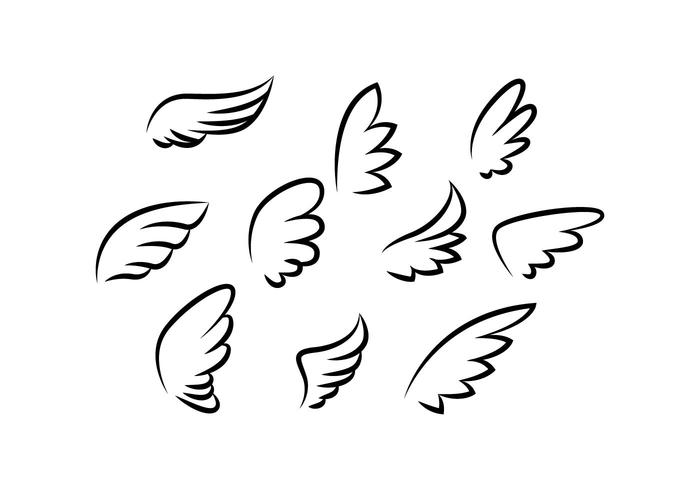 Wings Collection Line Vector