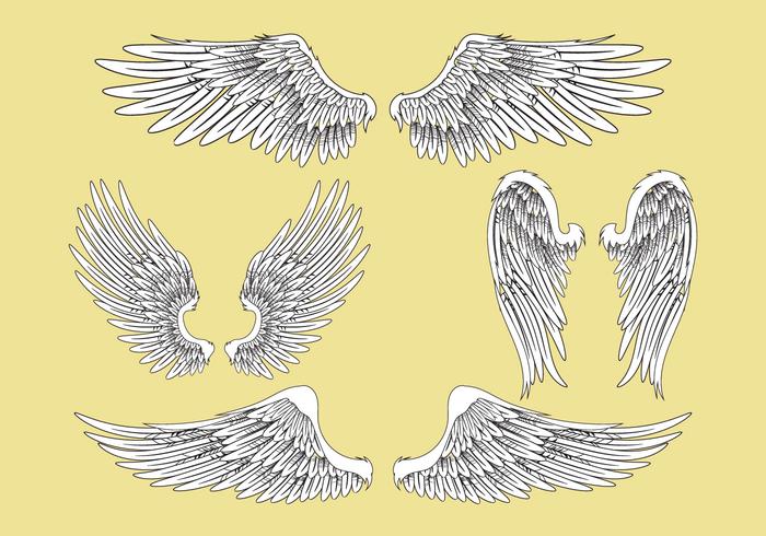 Abstract Vector Illustration Wings Set