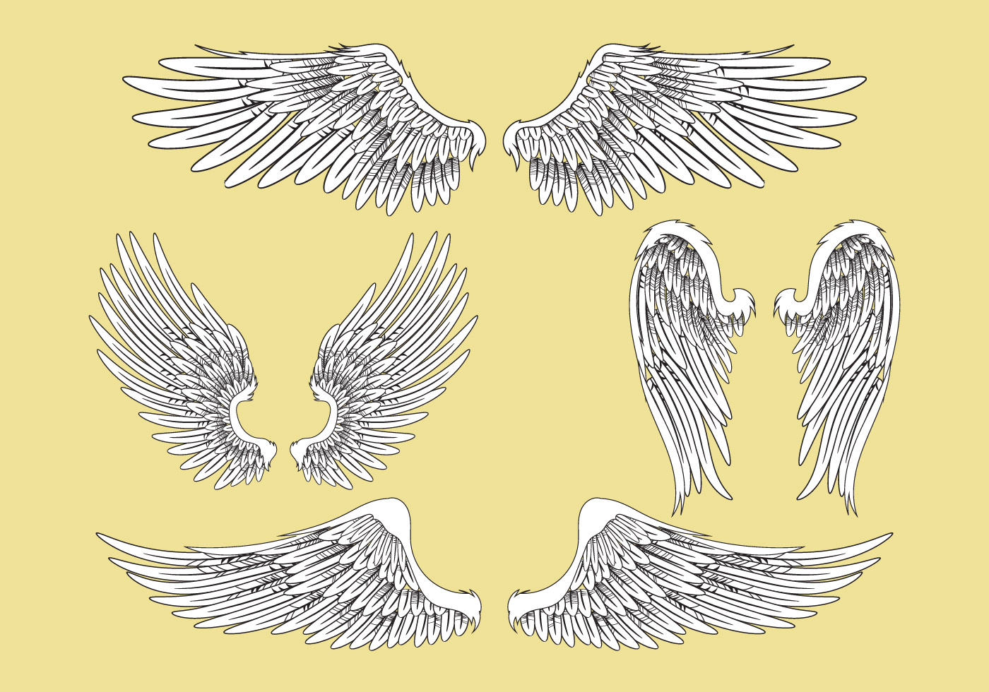 Download Abstract Vector Illustration Wings Set - Download Free ...