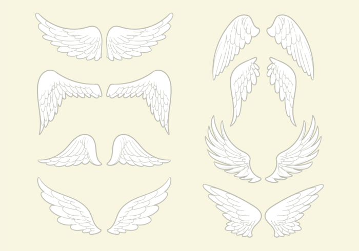 Angel Wings Vector