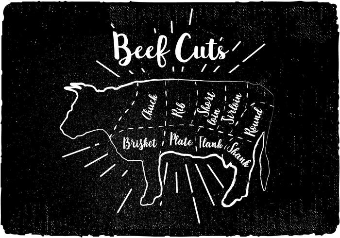 Beef Cuts Diagram Vector