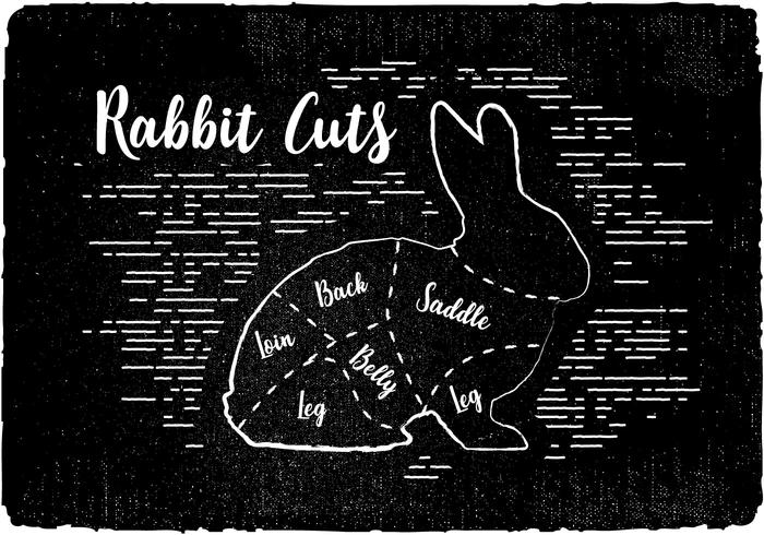 Free Rabbit Cuts Vector Background