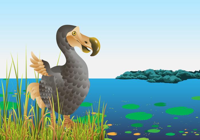 Dodo Pájaro En La Naturaleza vector