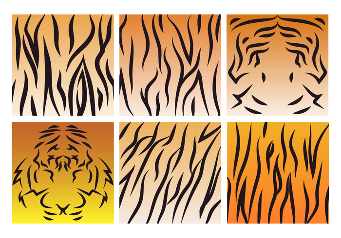 Tiger Stripe Pattern Vector