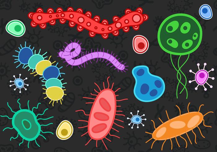 Set Of Mold Vector