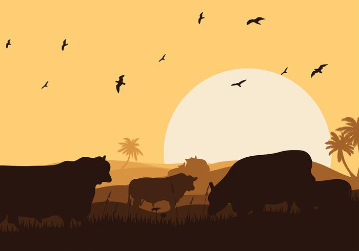 Angus vaca silueta puesta de sol vector