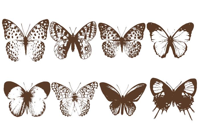 Mariposa Litografía Vector