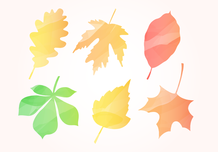 Free Watercolor Autumn Leaves vector