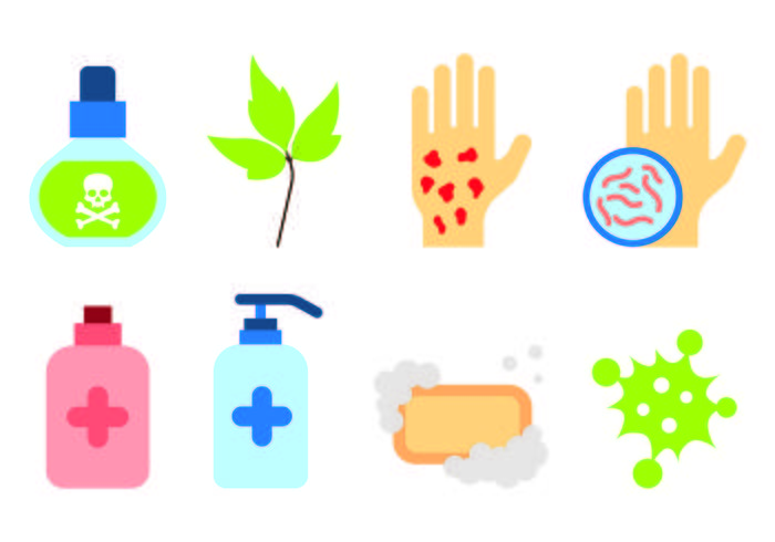 Set Of Poison Ivy Icons vector