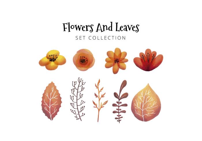 Watercolor Illustration Leaves And Flowers Collection vector