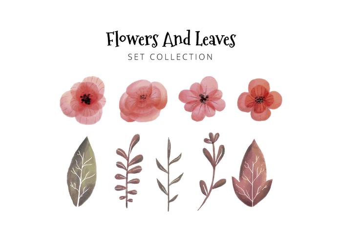 Watercolor Leaves And Flowers Collection vector