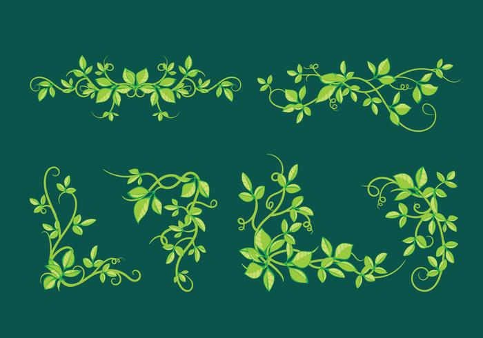 Beautiful poisson ivy with green leaves vector