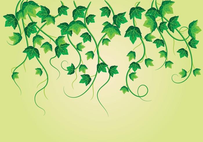 Climbing Poisonous Plants vector