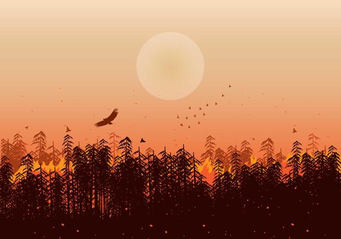 Ilustración de la silueta de los fuegos forestales vector