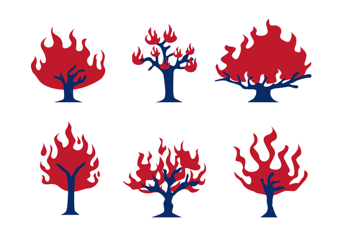 Burning Bush Vector