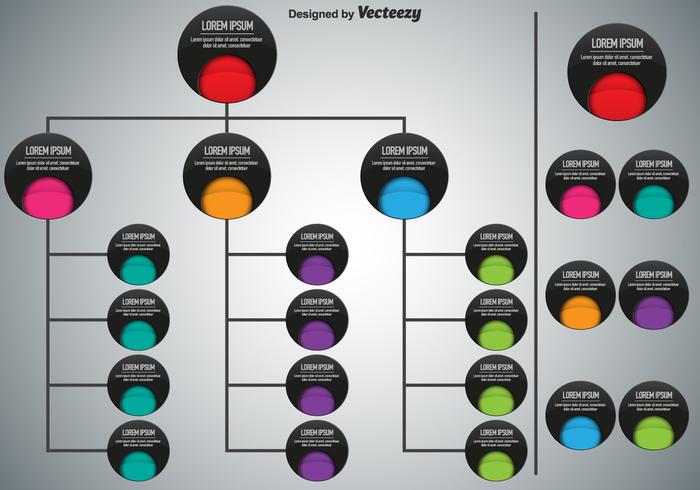 Vector Modern Organization Chart