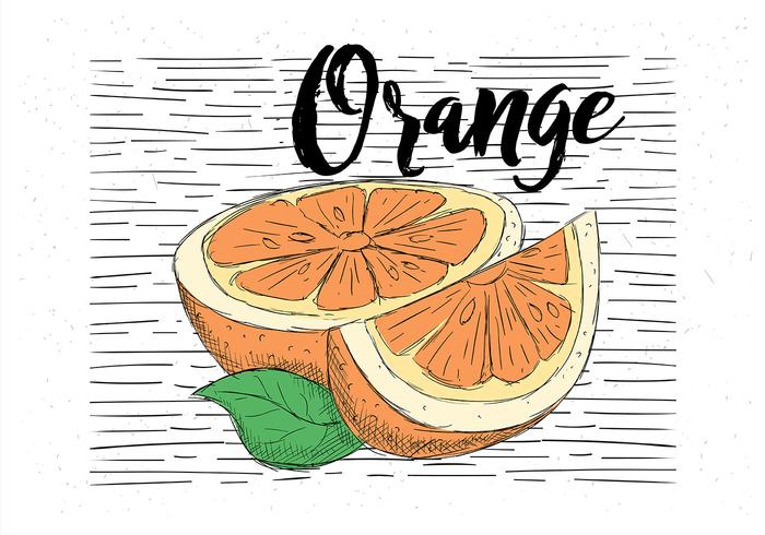 Free Hand Drawn Vector Orange Illustration