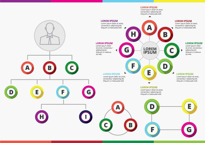 Colorful Org Chart Vector Colorful Org Chart Vector