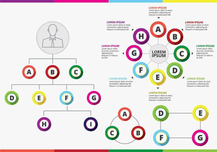 Gráfico de organigrama colorido vector