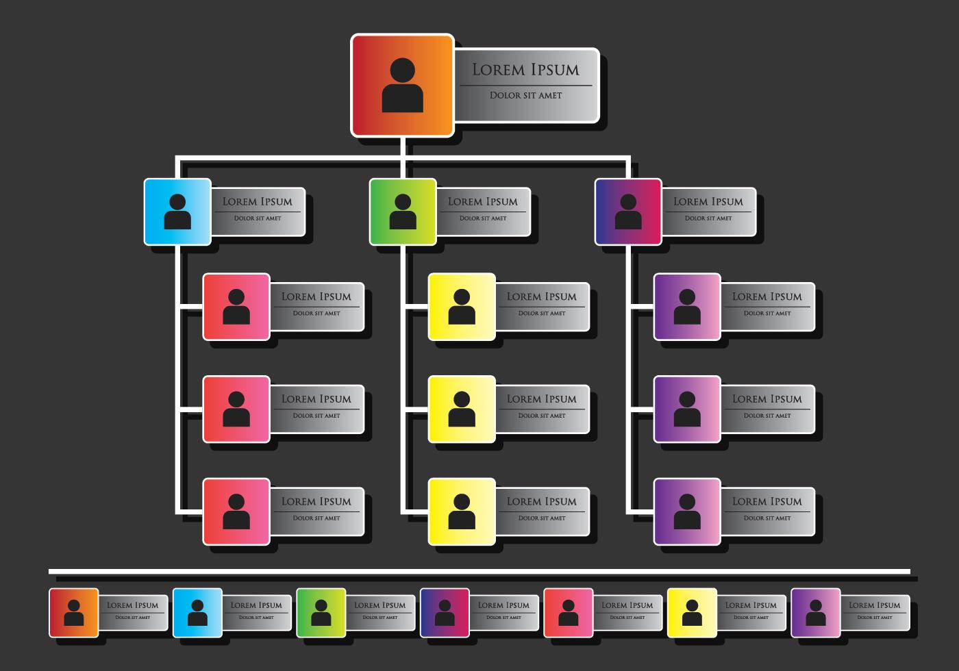 Org Chart Infographics 155974 Vector Art at Vecteezy
